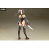 Frame Arms Girl - Figurine Izumo Destroyer, Plastic Model Kit