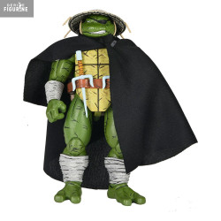 PRÉCOMMANDE - Les Tortues...