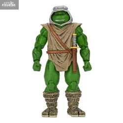 PRÉCOMMANDE - Les Tortues...