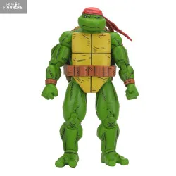 PRÉCOMMANDE - Les Tortues...