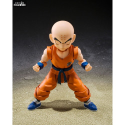 PRÉCOMMANDE - Dragon Ball -...