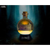 Harry Potter - Big Polyjuice potion Mood light