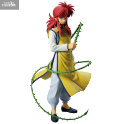 PRÉCOMMANDE - Yu Yu Hakusho...