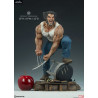 Marvel X-Men - Figure Logan (Wolverine), Premium Format