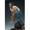 Marvel X-Men - Figure Logan (Wolverine), Premium Format