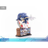 Sonic Adventure - Sonic the Hedgehog figure Standard Edition