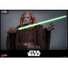 Star Wars, épisode III : La Revanche des Sith - Figurine Saesee Tiin, Movie Masterpiece