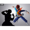 PRÉCOMMANDE - My Hero Academia - Figurine Dabi, S.H. Figuarts