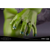 Marvel Universe - Figure She-Hulk, ARTFX Premier