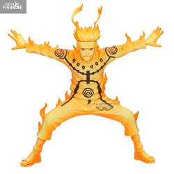 PRE ORDER - Naruto...