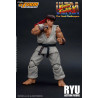 Ultra Street Fighter II : The Final Challengers - Ryu or Ken figure