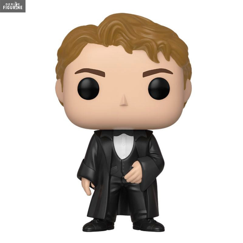 Harry Potter Pop! - Harry...