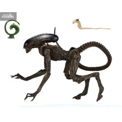 Alien - Dog Alien figure,...