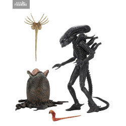 PRE ORDER - Alien 1979 -...