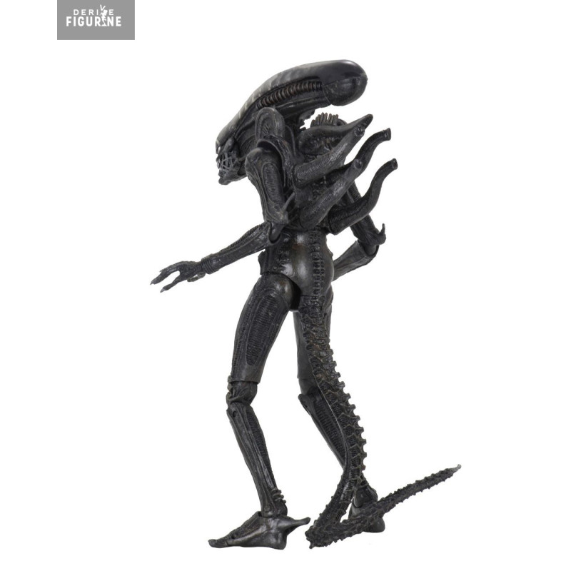 PRE ORDER - Alien 1979 -...