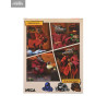 Teenage Mutant Ninja Turtles, Mirage Comics - Splinter figure