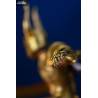PRE ORDER - Saint Seiya - Capricorn Shura figure, Art Scale