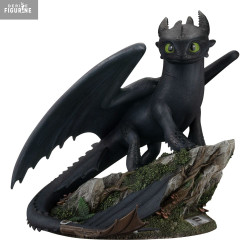 PRÉCOMMANDE - Dragons -...