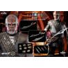 PRE ORDER - Star Trek: Picard - Figure Worf