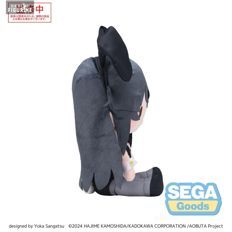 PRE ORDER - Rascal Does Not...