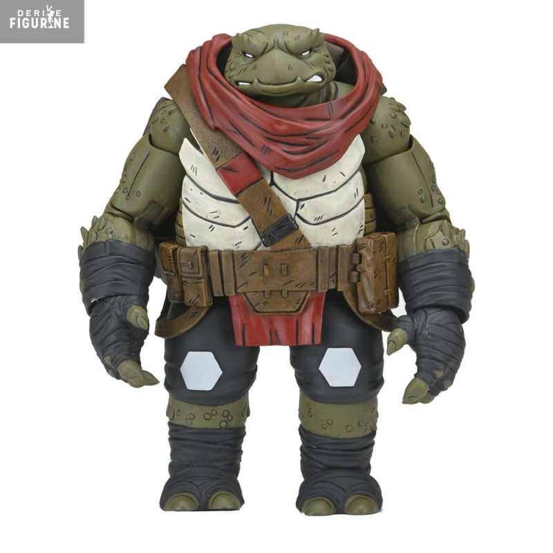 PRÉCOMMANDE - Tortues...