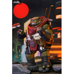 PRÉCOMMANDE - Tortues...