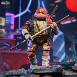 PRÉCOMMANDE - Tortues...
