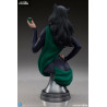 PRE ORDER - DC Comics - Catwoman bust