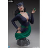PRE ORDER - DC Comics - Catwoman bust