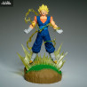 Dragon Ball Z - Vegito figure, History Box