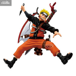 PRÉCOMMANDE - Naruto...