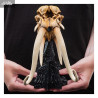 The Lord of the Rings - Skull of a Mumak replica