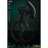Alien - Big Chap figure, Movie Masterpiece