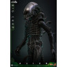 Alien - Big Chap figure, Movie Masterpiece