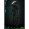 Alien - Big Chap figure, Movie Masterpiece