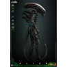 Alien - Big Chap figure, Movie Masterpiece