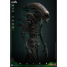 Alien - Big Chap figure, Movie Masterpiece