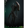 Alien - Big Chap figure, Movie Masterpiece