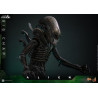 Alien - Big Chap figure, Movie Masterpiece