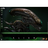 Alien - Big Chap figure, Movie Masterpiece