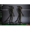 Alien - Big Chap figure, Movie Masterpiece
