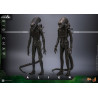 Alien - Big Chap figure, Movie Masterpiece