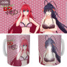 High School DxD Hero - Rias Gremory & Himejima Akeno mug