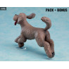 Yuri!!! on Ice - Pack 2 figures + bonus Makkachin, Yuri or Victor
