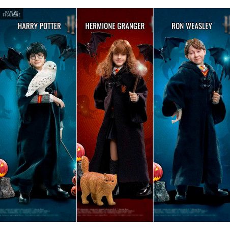 hermione granger a ron weasley datingsenior datování v san antonio texas