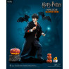 Harry Potter - Figure Harry Potter, Hermione Granger or Ron Weasley, Limited Edition Children Halloween