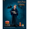 Harry Potter - Figure Harry Potter, Hermione Granger or Ron Weasley, Limited Edition Children Halloween