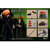 Harry Potter - Figurine Harry Potter, Hermione Granger ou Ron Weasley, Limited Edition Enfants Halloween