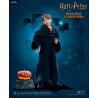 Harry Potter - Figure Harry Potter, Hermione Granger or Ron Weasley, Limited Edition Children Halloween