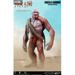 PRE ORDER - Godzilla vs....